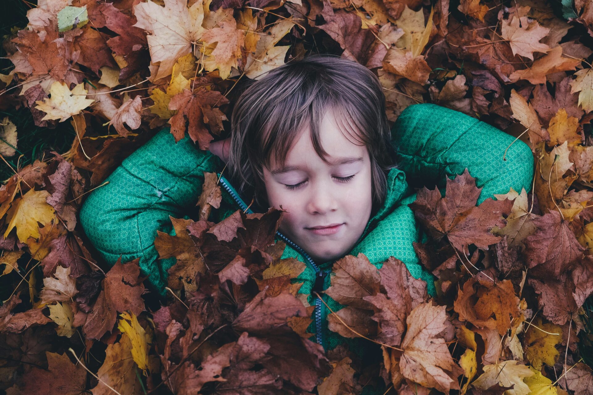 annie spratt Ewfrjh0GvtY unsplash scaled jpg